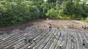 Serentak 1 Juta Ha Penanaman Jagung, Polres Sorong Selatan Siap Dukung Program Ketahanan Pangan Nasional