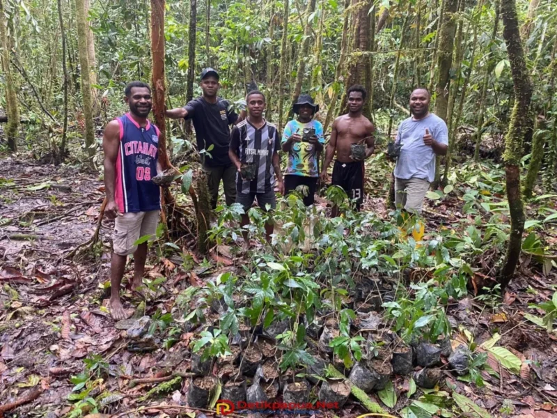 Kopi Senopi Diproyeksi Jadi Produk Lokal Ikon Papua Barat Daya