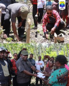 WAKI BUPATI TAMBRAUW BERSAMA JAJARAN DINAS PERTANINA DAN PERINDAKOP MELAKUKAN PENANAMAN NILAM PERDANA  DI KAMPUNG PUBUAN, DISTRIK KASI KABUPATEN TAMBRAUW